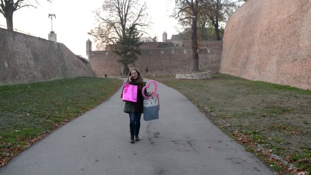 Comprador Mulher Atraente Com Sacos Papel Falando Telefone Parque Público — Vídeo de Stock