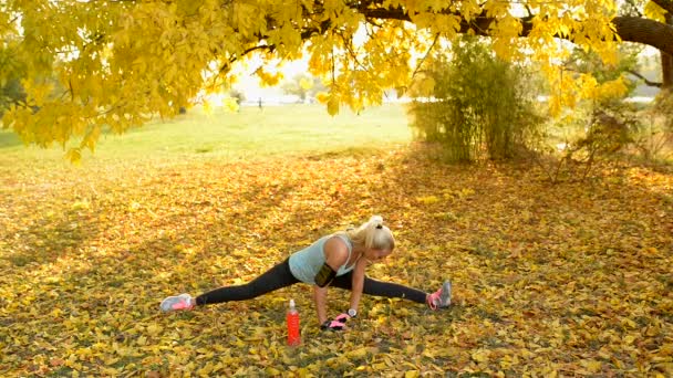 有吸引力的运动金发女郎 在一个公共公园 在一个黄色的叶子覆盖的地方进行分裂和锻炼 — 图库视频影像