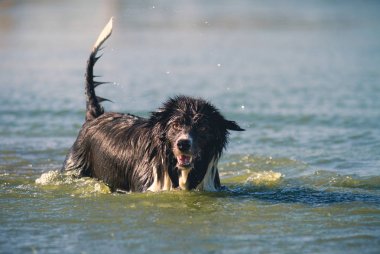 Denizde oynarken kenar kömür ocağı