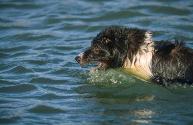 Denizde oynarken kenar kömür ocağı