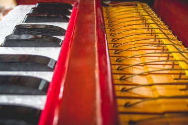 Harmonium araç detay