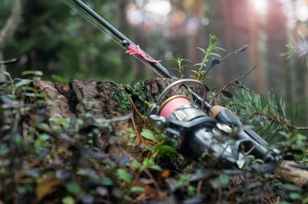 Spinning spö med en reel våren på bakgrunden av trä. — Stockfoto