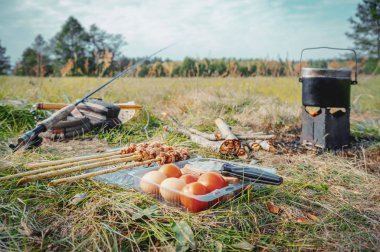 Firebox sobası ve kızarmış et. Piknik balıkçılık.