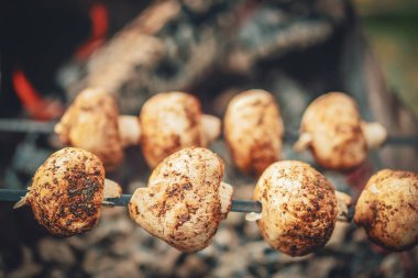 Mantarlar yanan kömürlerde pişer.