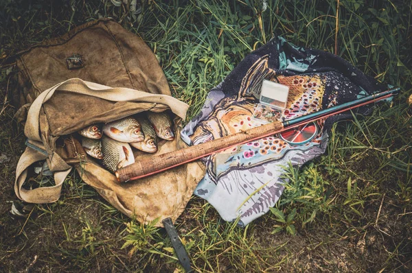 Mouches pour la pêche au saumon. Engins de pêche à la mouche . — Photo