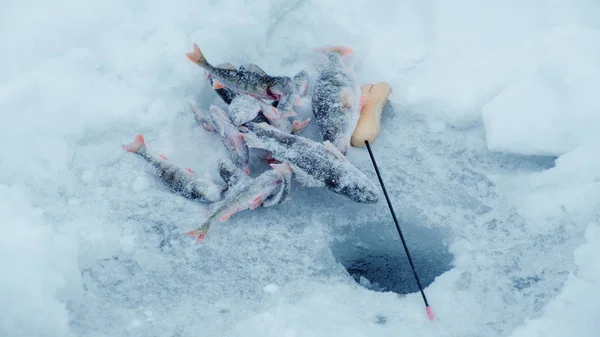 Aparejos de pesca de invierno. Pesca en el hielo . — Foto de Stock