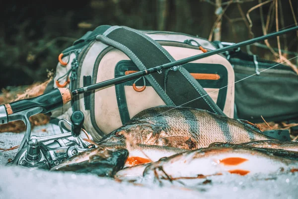 Fiskeredskap och fångad fisk. — Stockfoto