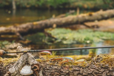 Minsk bölgesi. Belarus - 24 Mayıs 2019: 