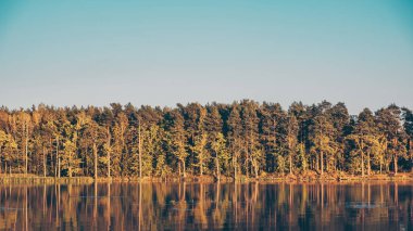 Ormanlar gölün pürüzsüz yüzeyine yansıyor.. 