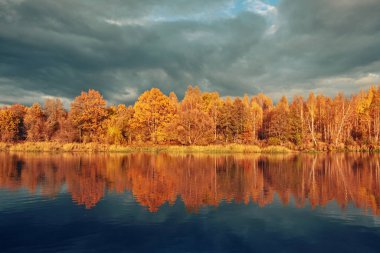 Nehir kenarındaki resim gibi sonbahar ormanı.