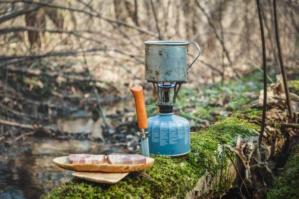 Coffee and sandwich. Food in nature. — 스톡 사진