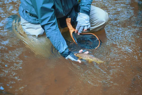 The principle of catch and release. Fishing for trout — Stock Photo, Image