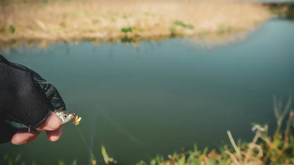 Den lilla fisken med en torr fluga fäst vid munnen — Stockfoto