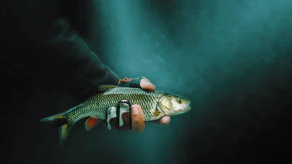 Дас в руке рыбака, крупным планом на темном фоне . — стоковое фото