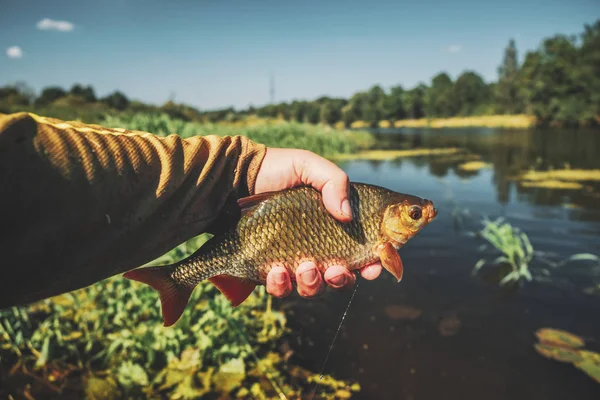 La cucaracha en la mano de un pescador. Pesca con mosca . —  Fotos de Stock