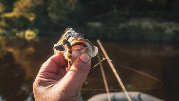 Appoggiatevi al gancio. Spinning pesca. — Foto Stock