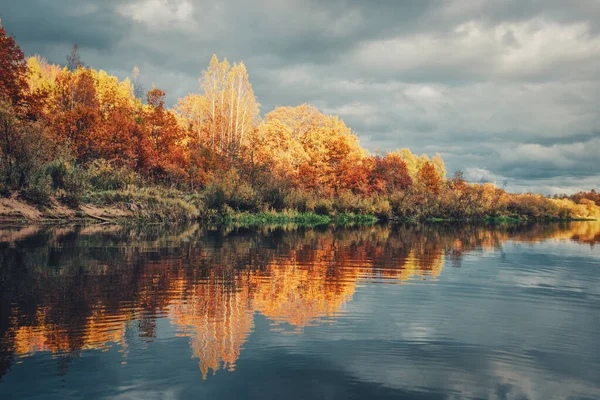 Malebný podzimní les u řeky. — Stock fotografie