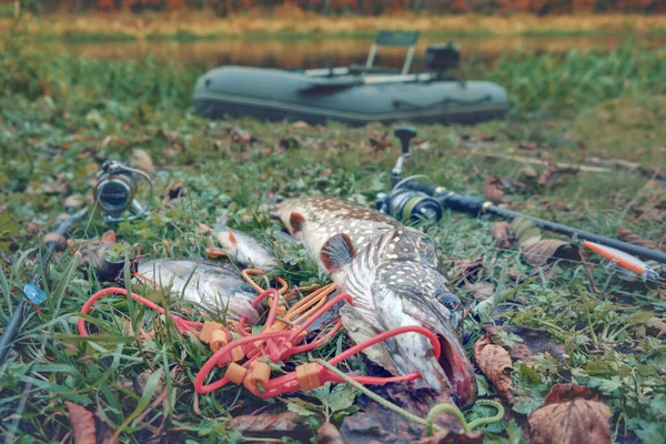 Pêche à partir d'un bateau gonflable sur une rivière d'automne . — Photo