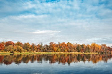 Nehir kenarındaki resim gibi sonbahar ormanı.