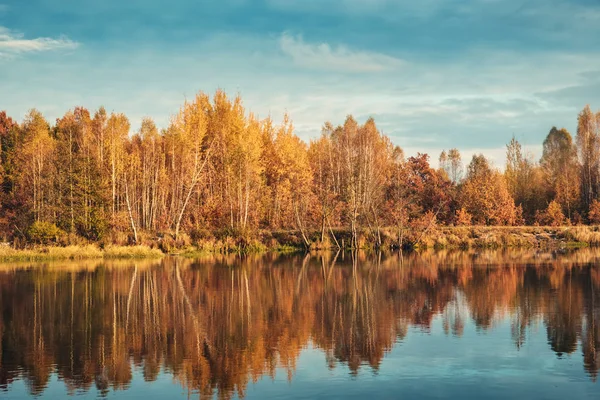 Живописный осенний лес у реки . — стоковое фото