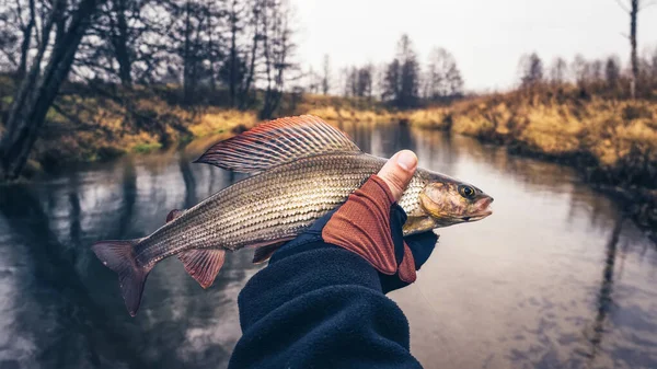 Fischer hält einen Fisch in der Hand. — Stockfoto