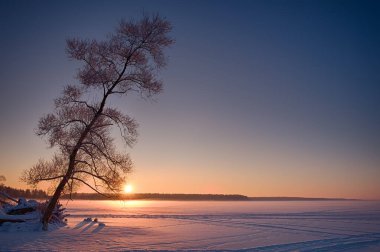 Donmuş bir orman gölünde gün batımı.