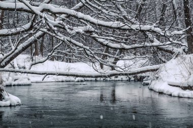 Resimli kış ormanı nehri.