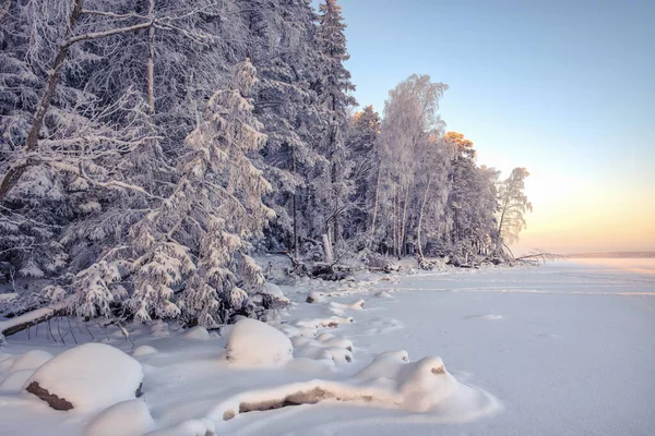 Les pierres sont recouvertes de neige sur le rivage d'un lac forestier d'hiver . — Photo