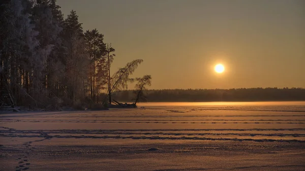 Sunset on a frozen forest lake. — Stock Photo, Image