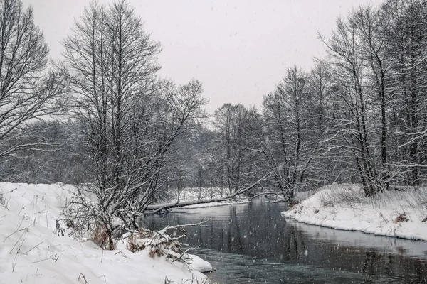 Pittoresco fiume foresta invernale . — Foto Stock