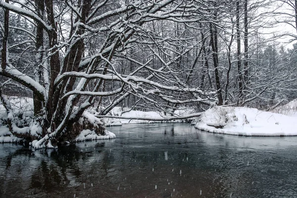 Rivière de forêt hivernale pittoresque . — Photo