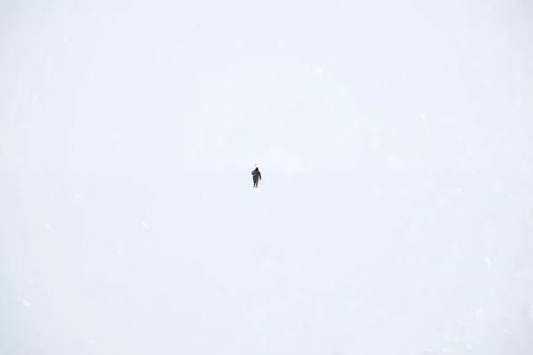 Pescador para fora na extensão nevada do lago. Pesca de Inverno . — Fotografia de Stock