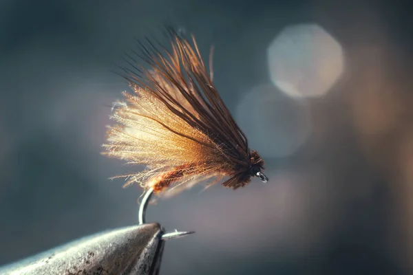 Fly for fly fishing. — 스톡 사진