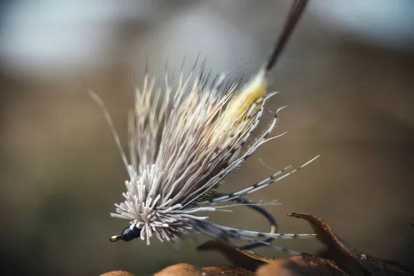 Fliege zum Fliegenfischen. — Stockfoto