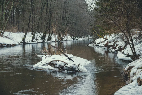 Une rivière de forêt printanière . — Photo