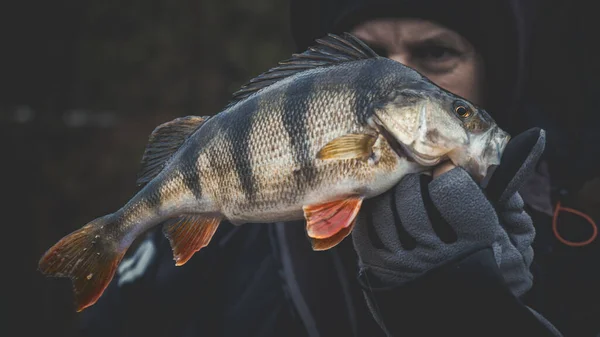 Fiskare som håller en fisk i handen — Stockfoto