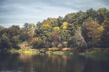 Sonbahar. Nehir kenarındaki resimli ağaçlar.