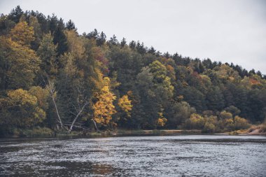 Sahilde ağaçlı sonbahar nehri.