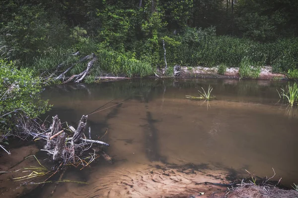 Tenkara mot bakgrund av en liten skogsbäck. — Stockfoto