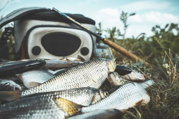 Fisken fångas i en tenkara. Fiskeredskap. — Stockfoto