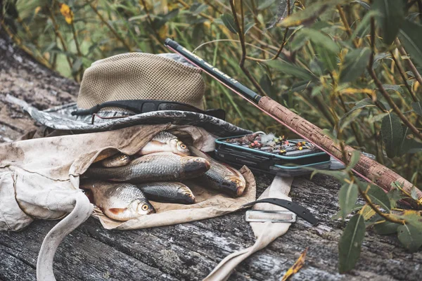 Il pesce è preso in un tenkara. Attrezzi da pesca . — Foto Stock