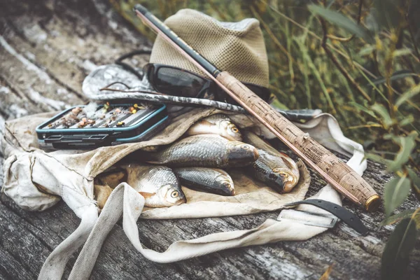 Il pesce è preso in un tenkara. Attrezzi da pesca . — Foto Stock