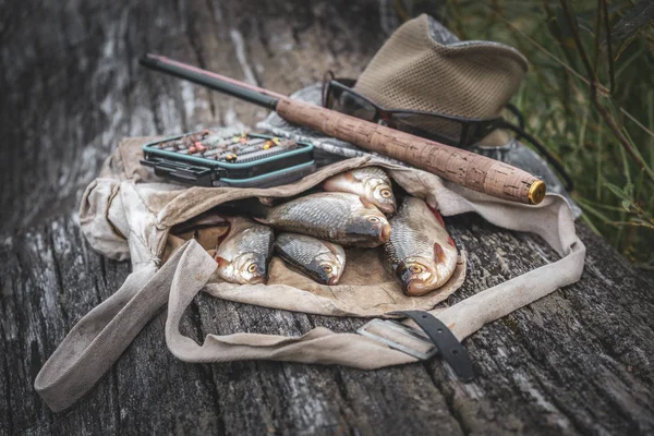 Der Fisch wird in einem Tenkara gefangen. Fanggerät. — Stockfoto