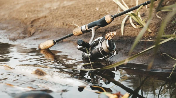 Attrezzatura da pesca sulla riva del fiume . — Foto Stock