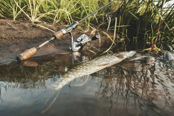 Rybářská výstroj na břehu řeky. — Stock fotografie