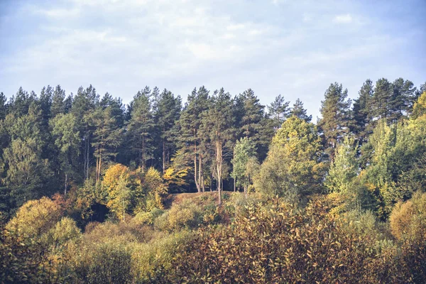 Malowniczy jesienny las. Charakter Białorusi. — Zdjęcie stockowe