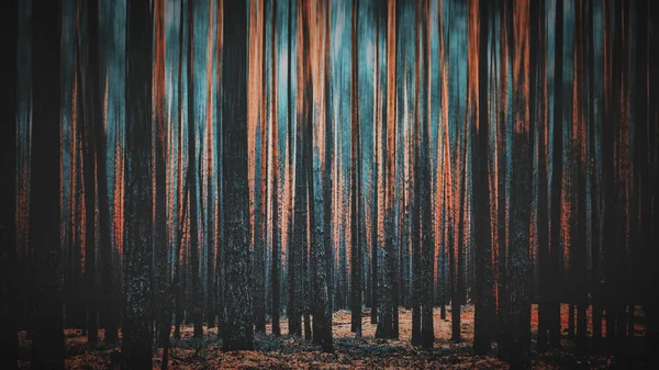 Ciemny i mistyczny las. — Zdjęcie stockowe