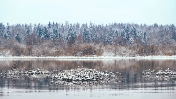 Mlha a mráz na podzimní řece. — Stock fotografie