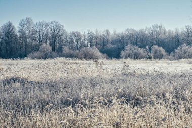 Sahadaki çimenler kırağı kaplamış..