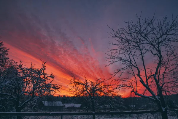 Coucher de soleil d'hiver coloré dans le jardin rustique . — Photo